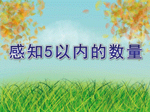 小班数学《感知5以内的数量》PPT课件教案感知5以内的数.ppt