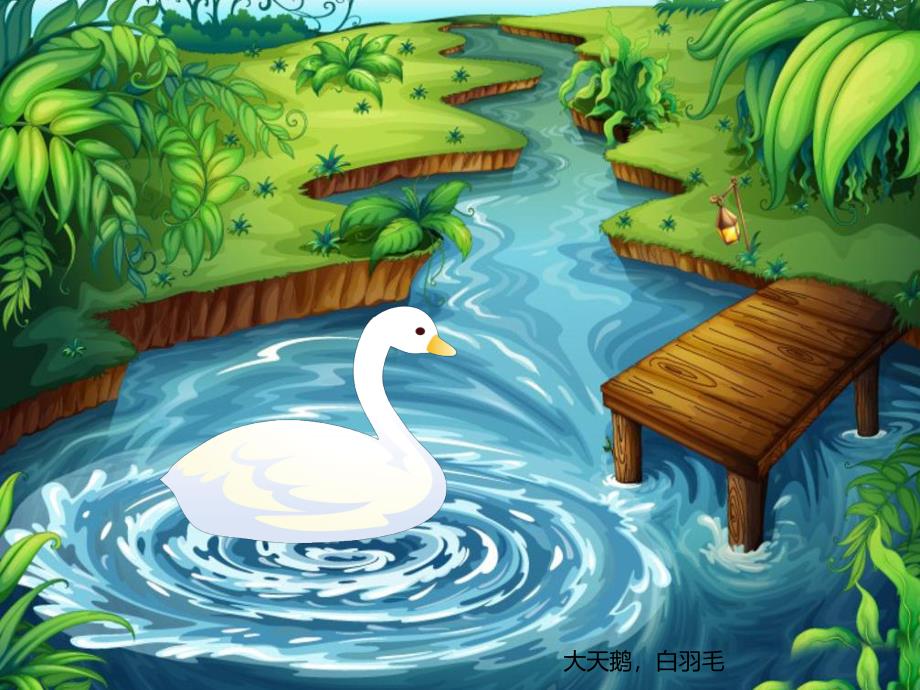 幼儿园动物儿歌《天鹅》PPT课件音频PPT课件.ppt_第2页