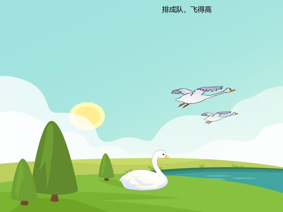 幼儿园动物儿歌《天鹅》PPT课件音频PPT课件.ppt_第3页