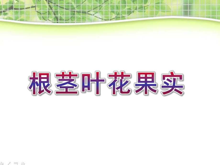 大班科学《根茎叶花果实》PPT课件教案大班科学：根茎叶花果实-(三课时.ppt_第1页