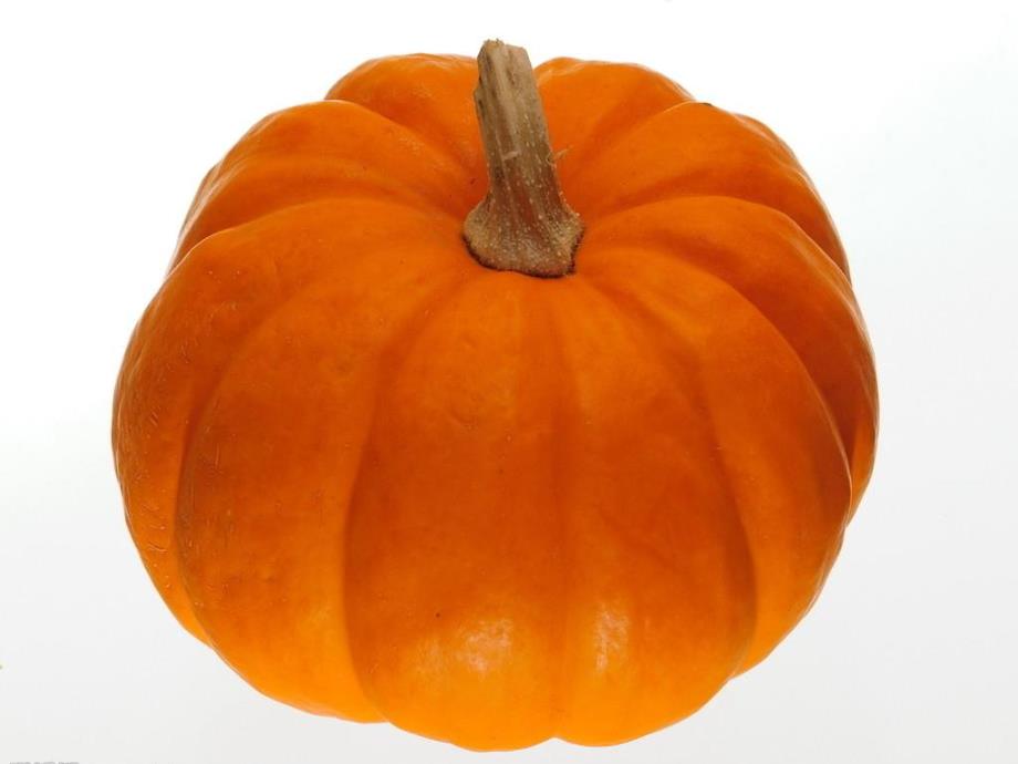 幼儿园《各种各样的蔬菜》PPT课件教案13泥塑-各种各样的蔬菜.ppt_第3页