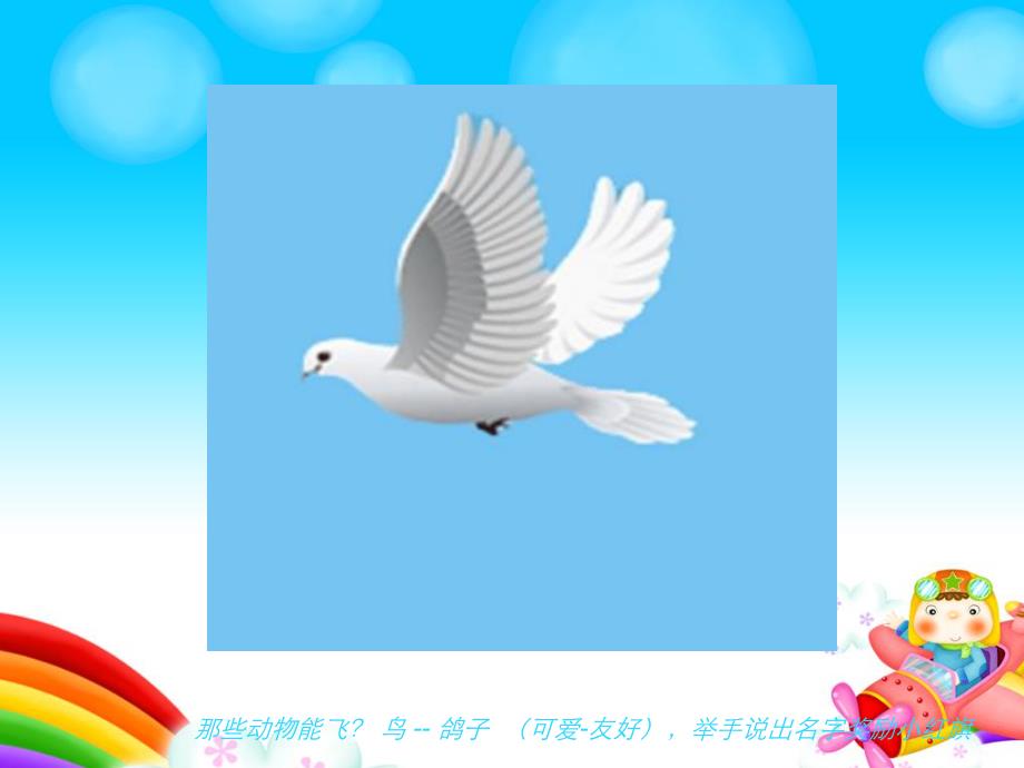 大班科学《科学的飞》PPT课件科学的飞-.ppt_第2页