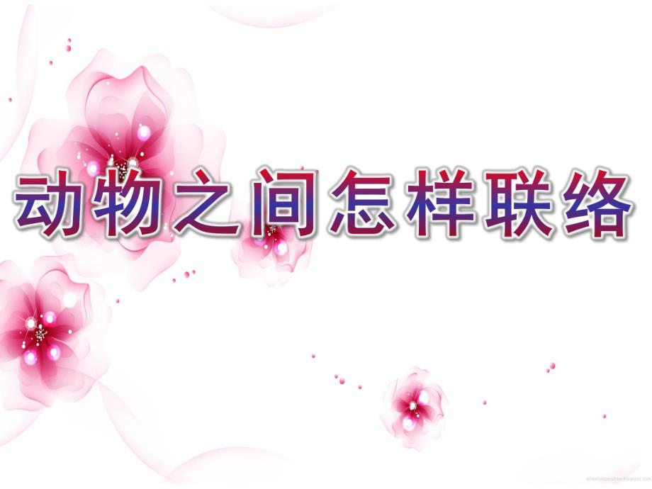 大班科学活动《动物之间怎样联络》PPT课件教案大班科学《动物之间怎样联络》.ppt_第1页