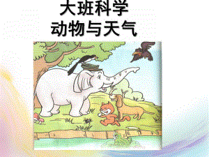 大班科学《动物和天气》PPT课件教案大班科学：动物和天气.ppt