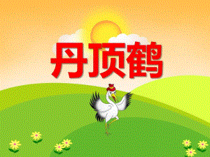 幼儿园动物儿歌《丹顶鹤》PPT课件音频PPT课件.ppt