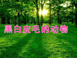小班科学活动《黑白皮毛的动物》PPT课件教案小班科学《黑白皮毛的动物》.ppt