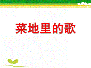 大班音乐《菜地里的歌》PPT课件教案菜地里的歌.ppt