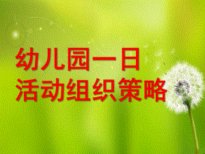 幼儿园一日活动组织策略PPT课件幼儿园一日活动组织策略..ppt