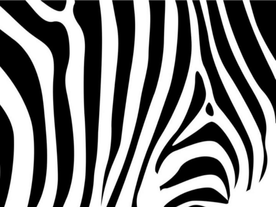 大班美术《漂亮的斑马》PPT课件教案漂亮的斑马.ppt_第2页