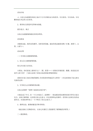 大班科学活动《植物的根》PPT课件教案参考教案.docx