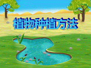 大班主题活动《植物种植方法》PPT课件大班主题活动《植物种植方法》PPT课件.ppt