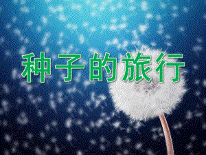 大班科学《种子的旅行》PPT课件教案PPT课件.ppt