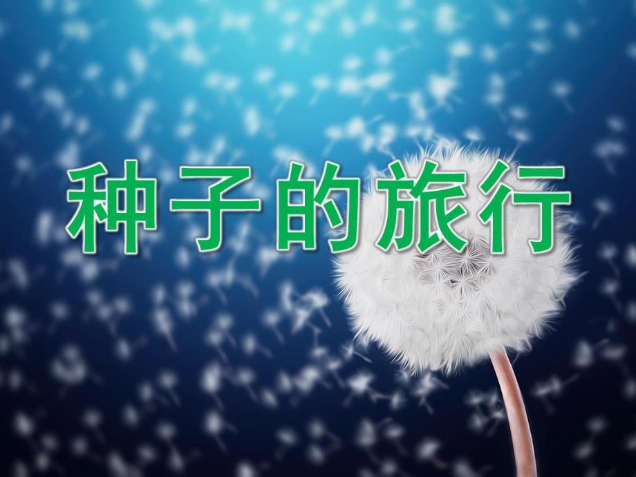 大班科学《种子的旅行》PPT课件教案PPT课件.ppt_第1页