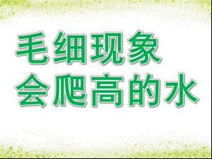 大班科学《毛细现象——会爬高的水》PPT课件教案毛细现象——会爬高的水.ppt