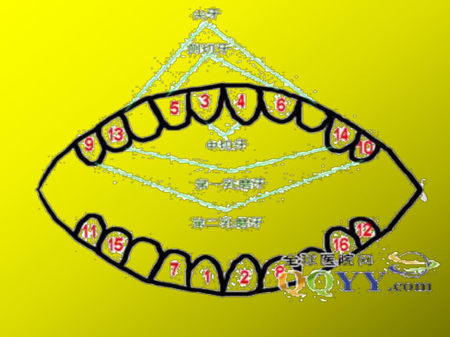 大班健康活动《爱护牙齿从小做起》PPT课件大班健康活动《爱护牙齿从小做起》PPT课件.ppt_第3页