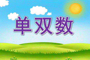 大班《单双数》PPT课件教案大班单双数.ppt