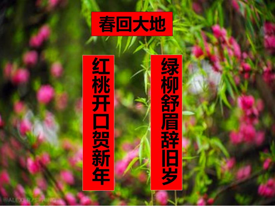 大班语言活动《春联》PPT课件教案PPT课件.ppt_第2页