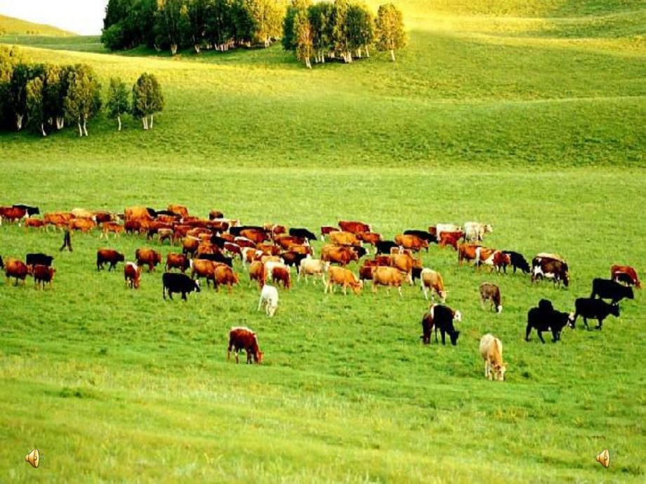 大班语言《美丽的草原》PPT课件教案配音ppt课件.ppt_第2页