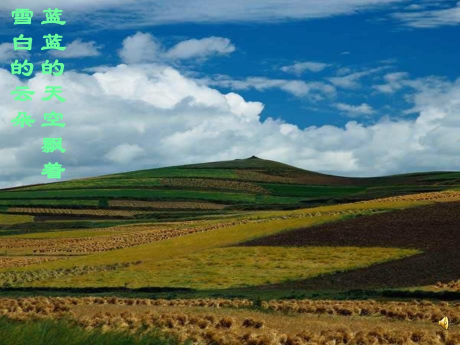 大班语言《美丽的草原》PPT课件教案配音ppt课件.ppt_第3页