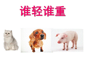 大班数学公开课《谁轻谁重》PPT课件教案大班数学《谁轻谁重》.ppt