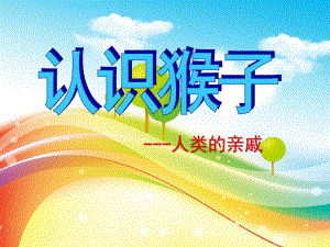 幼儿园科学《认识猴子人类的亲戚》PPT课件ppt课件.ppt