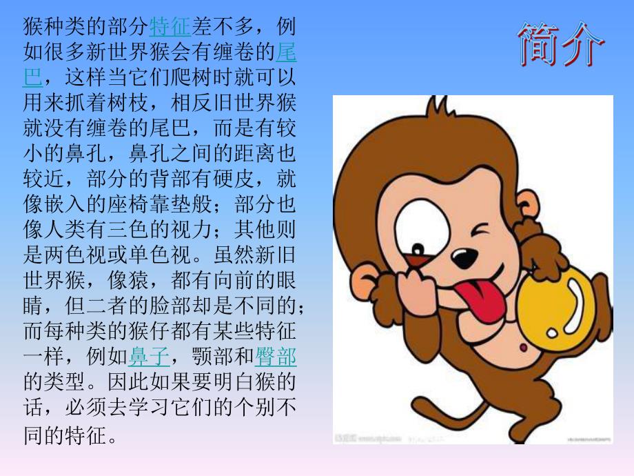 幼儿园科学《认识猴子人类的亲戚》PPT课件ppt课件.ppt_第2页