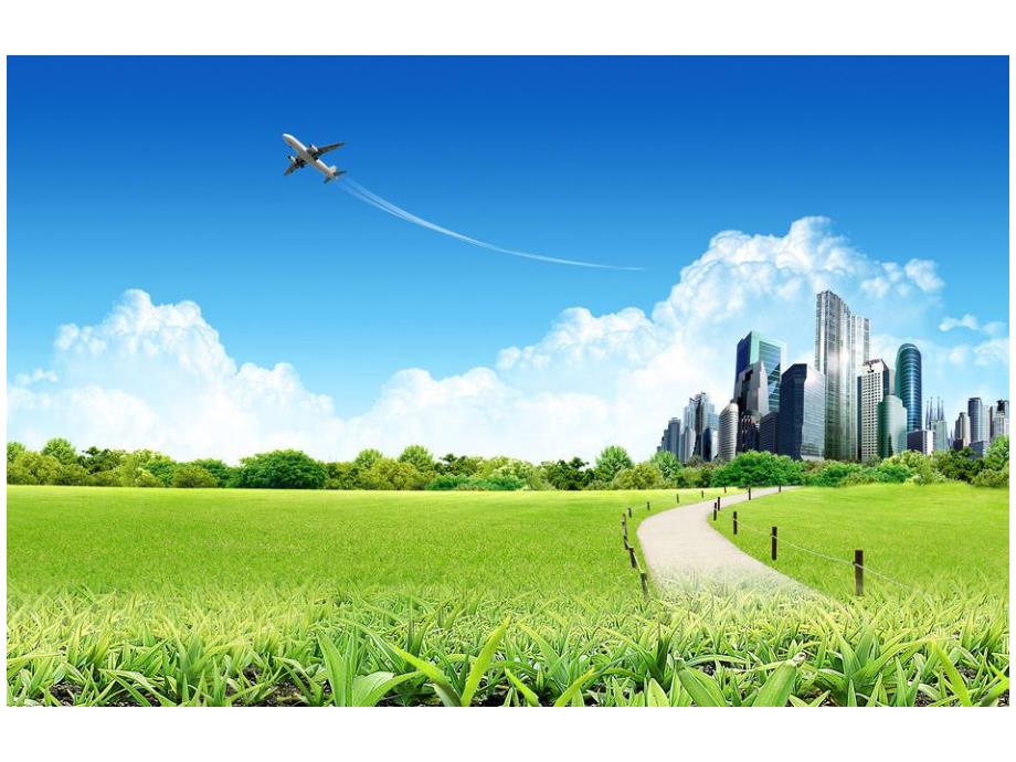 大班综合优质课《动物城里的百货商店》PPT课件教案PPT课件.ppt_第3页