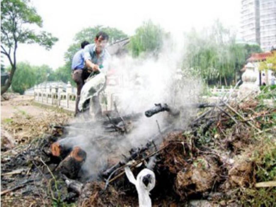 大班社会《我们喜欢的环境》课件PPT教案大班社会：我们喜欢的环境.ppt_第3页