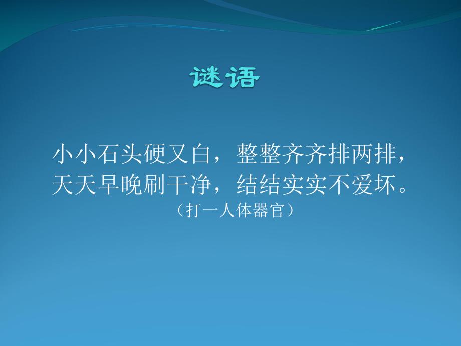 幼儿园健康教育《爱牙护牙》PPT课件幼儿园爱牙护牙.ppt_第3页