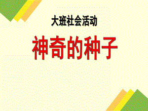 大班社会活动《神奇的种子》PPT课件教案.ppt