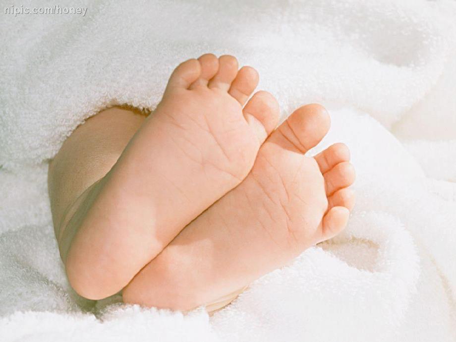 大班语言活动《会长大的鞋子》PPT课件教案会长大的鞋子.ppt_第3页