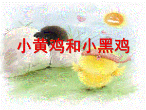 小班语言《小黄鸡和小黑鸡》PPT课件小黄鸡和小黑鸡(PPT.ppt