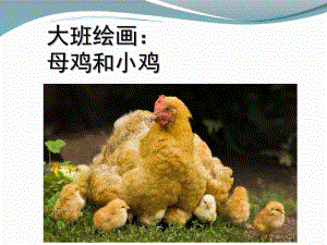 大班绘画《小鸡和母鸡》PPT课件教案大班绘画：母鸡和小鸡.ppt