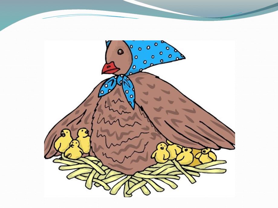 大班绘画《小鸡和母鸡》PPT课件教案大班绘画：母鸡和小鸡.ppt_第2页