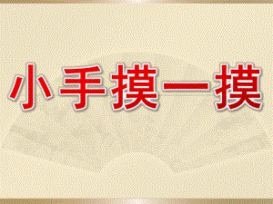 小班科学《小手摸一摸》PPT课件教案.ppt