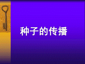 大班科学活动《种子的传播》PPT课件教案大班科学活动：种子的传播.ppt