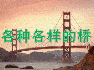大班科学《各种各样的桥》PPT课件教案PPT课件.ppt