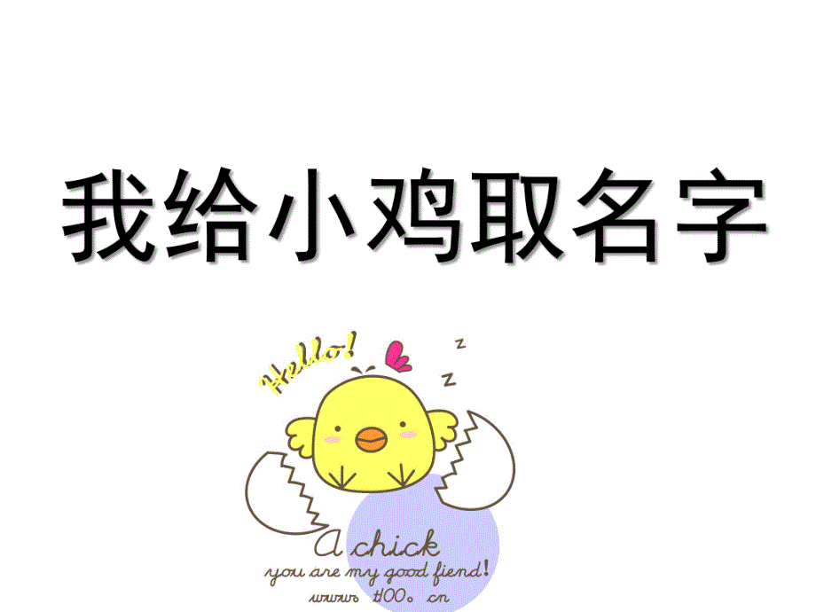 小班语言《我给小鸡取名字》PPT课件教案我给小鸡取名字.ppt_第1页