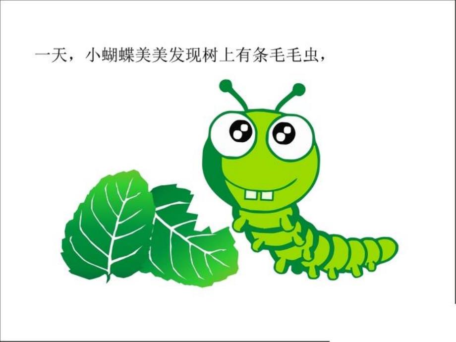 小班科学《美美和丑丑》PPT课件教案美美和丑丑.ppt_第3页