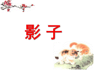 大班探索《影子》PPT课件教案ppt课件.ppt