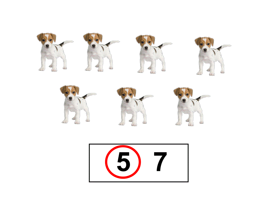 大班数学估数《糖果有多少》PPT课件教案大班数学：估数《糖果有多少》.ppt_第3页