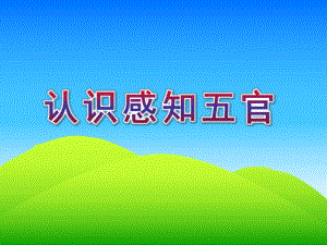 小班健康《认识感知五官》PPT课件教案幼儿课件-认识五官(五官很重要).pptx [修复的].ppt