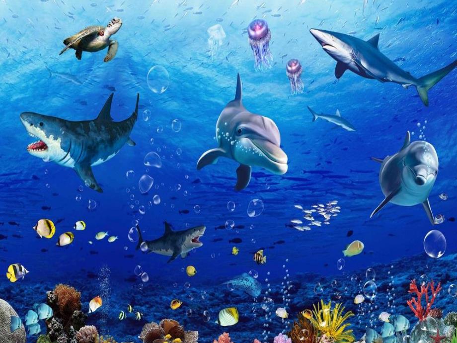 大班数学教学《认识大于号和小于号》PPT课件教案幼儿园大班认识大于号和小于号数学教学PPT课件.ppt_第2页