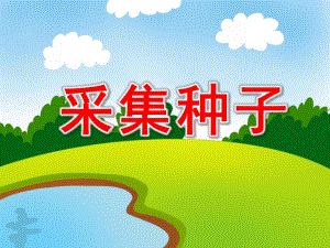 大班综合《采集种子》PPT课件教案PPT.ppt