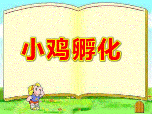 小鸡孵化PPT课件教案图片小鸡孵化演示文稿.ppt