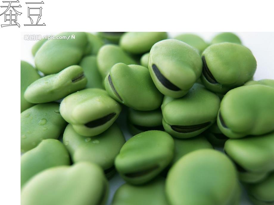 中班健康《我知道的蔬菜》PPT课件教案我知道的蔬菜.ppt_第3页