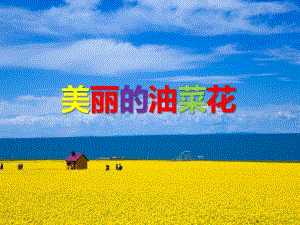 大班美术《美丽的油菜花》PPT课件教案PPT课件.ppt