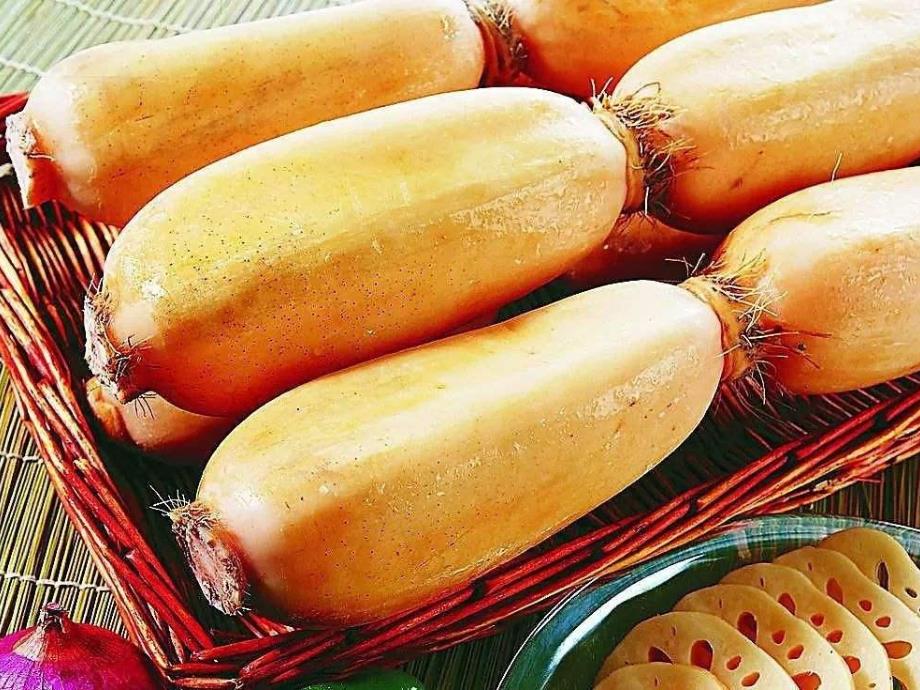 大班科学《有趣的藕》PPT课件教案大班科学课件《有趣的藕》PPT课件.ppt_第3页