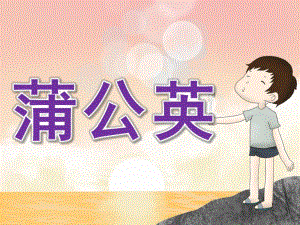 小班美术《蒲公英》PPT课件教案PPT课件.ppt