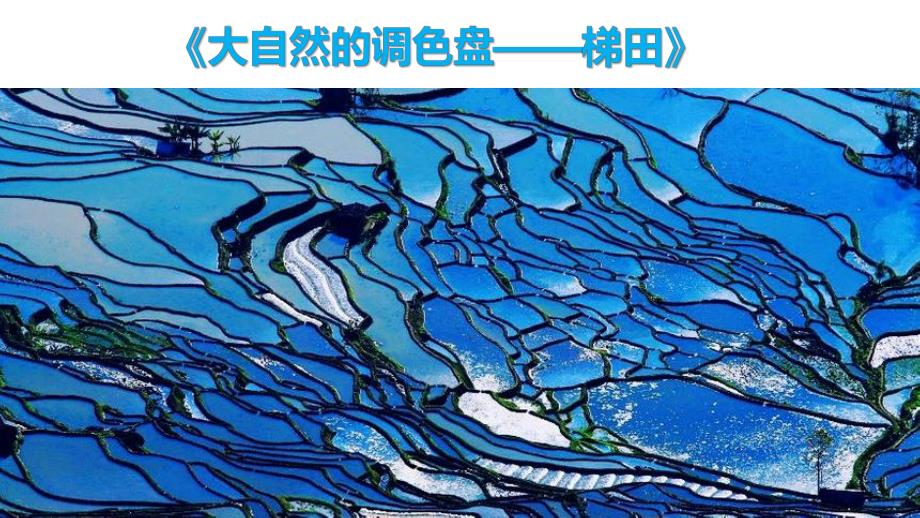 大班美术《大自然的调色盘——梯田》PPT课件大班美术《大自然的调色盘——梯田》PPT课件.ppt_第1页